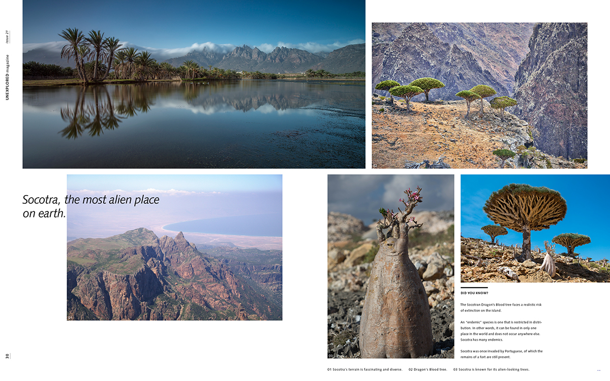 magazine layouts mysterious editorial explore different Travel publication