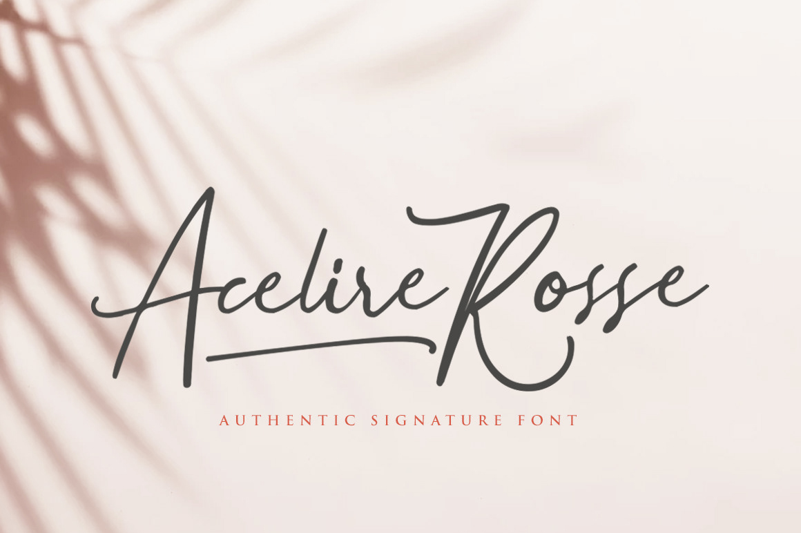 font Script Script Font Free font signature font elegant font luxury font Calligraphy   lettering