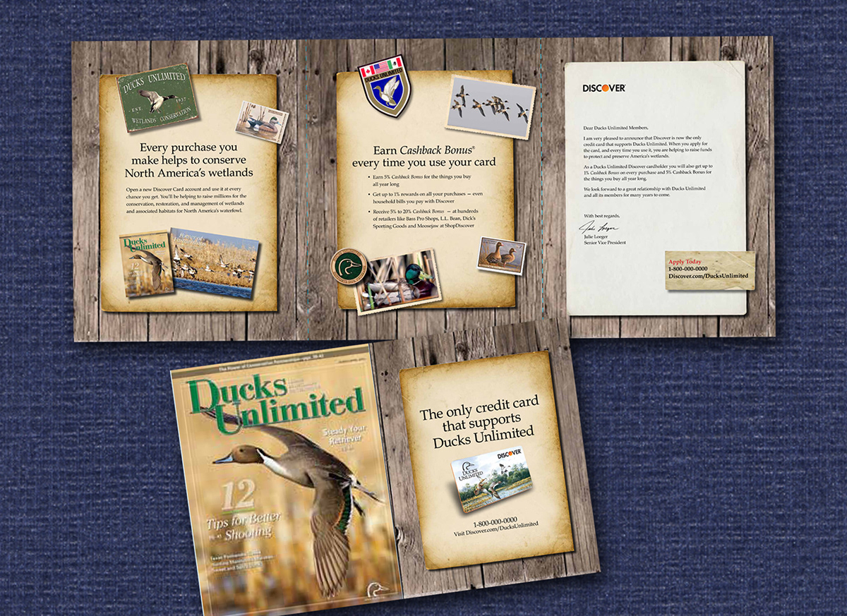 brochures  campaigns illustrations Layout Design