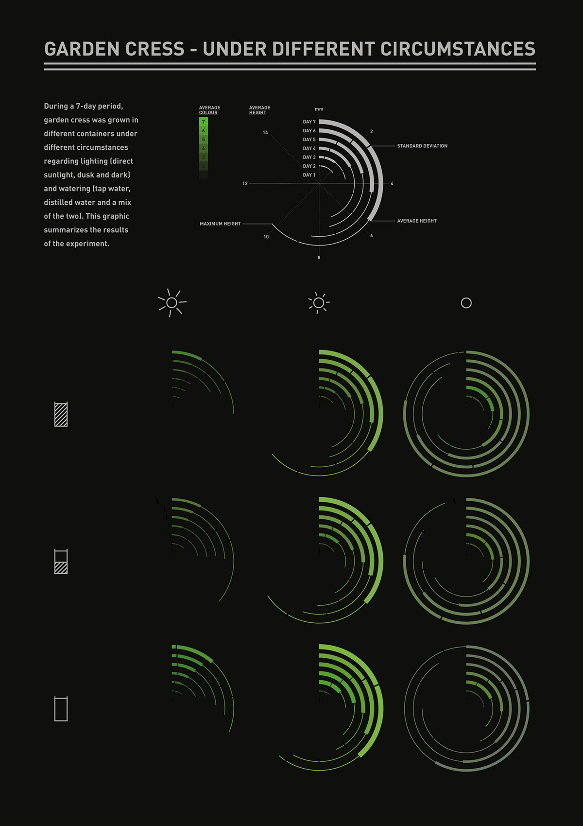 visualisation datavisualisation visualization DATAVISUALIZATION processing Excel Data garden cress growth circumstances infographic information graphic generative generative design process
