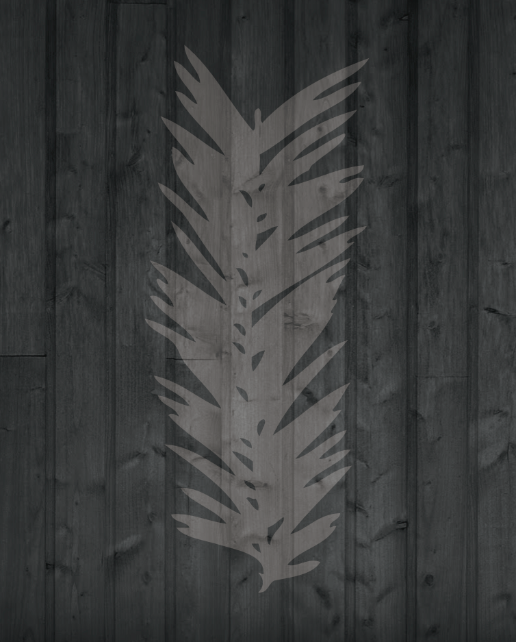 Conceptual Work  brand identity  Giant Sequoia