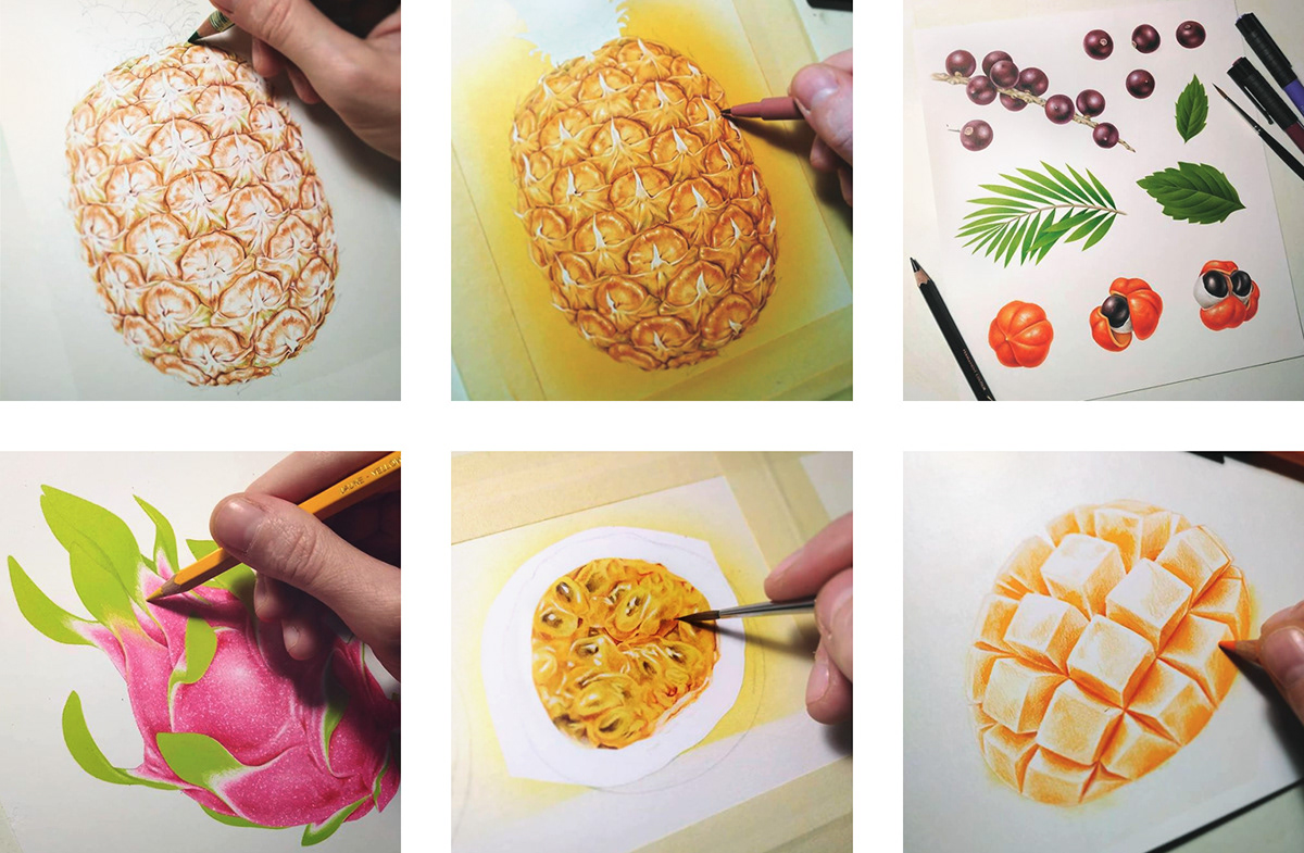 botanical Food  food illustration Fruit handmade ILLUSTRATION  inspiration juice Label Packaging