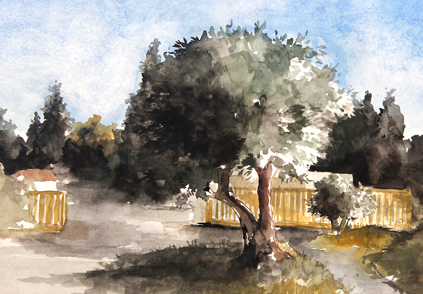 watercolor Nature olive trees Landscape
