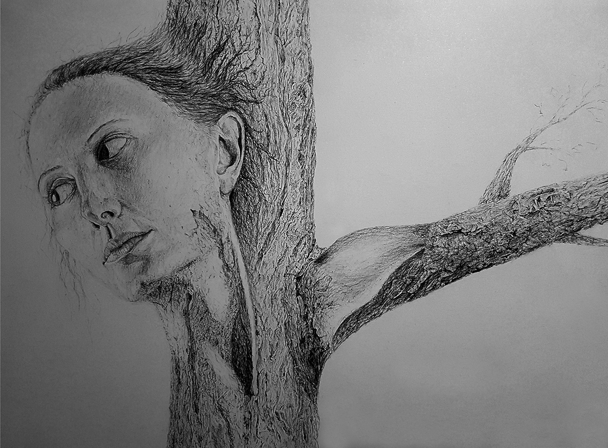 charcoal art pencil painting   sketch treebark details artwork Drawing  woman