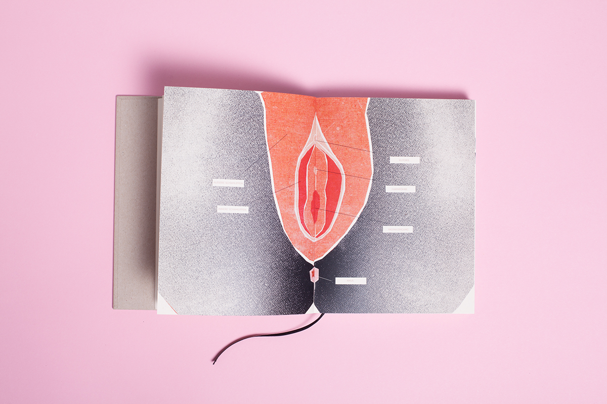 mensturalcycle femalebody menstruation ebbeundblut ovarygang science blood collage collageartwork