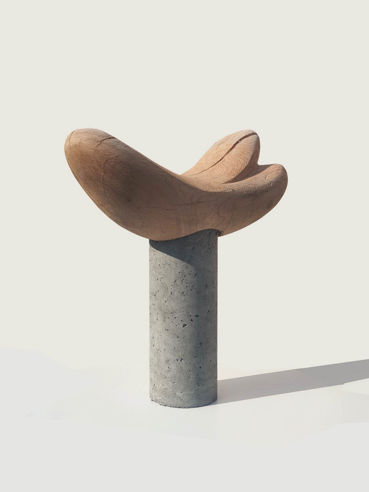 sculpture contemporaryart wood sculpturecontemporary voncrete