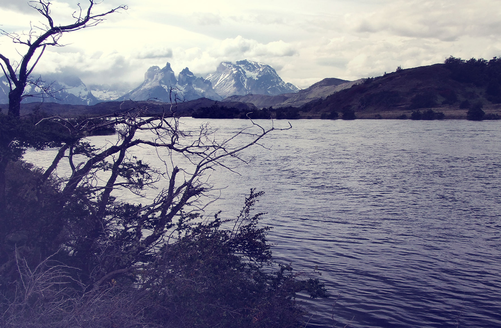 patagonia chile Nature Outdoor torres del paine