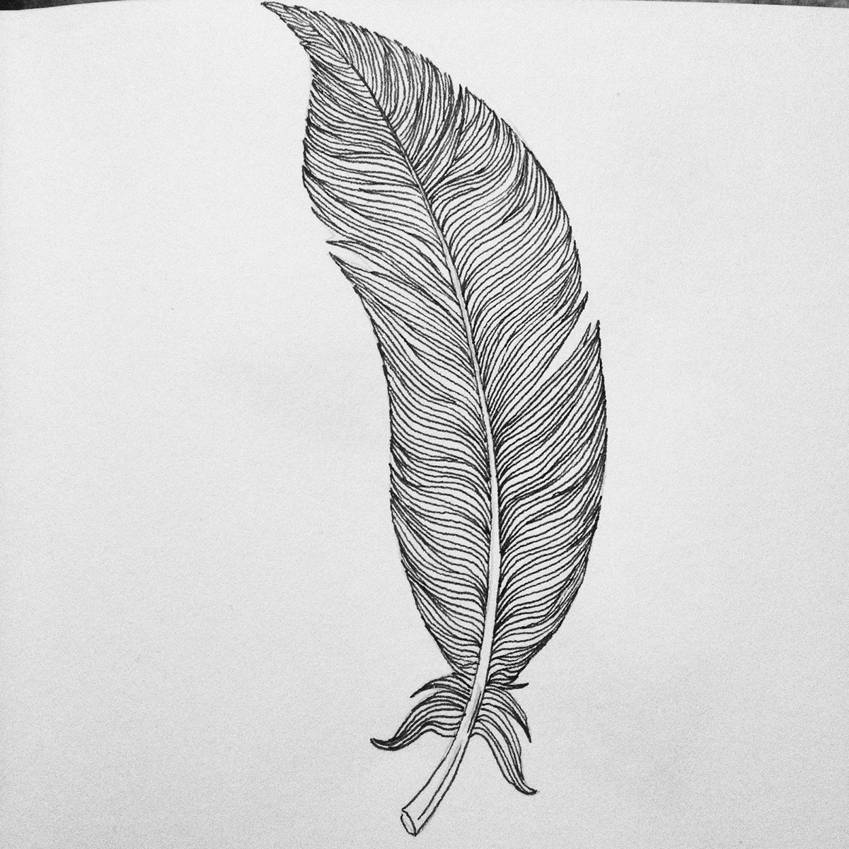 feder feather linedrawing lines clean canvas blackandwhite penandink ink tatoo tattoo wallart decoration walldecoration design