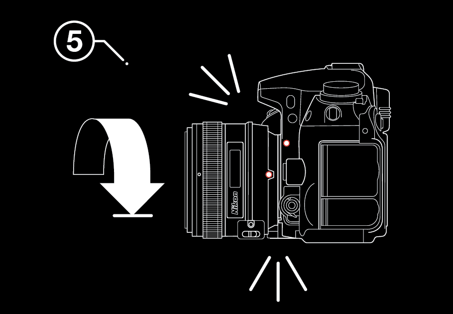 Adobe Portfolio design type Nikon dslr line pentool Illustrator