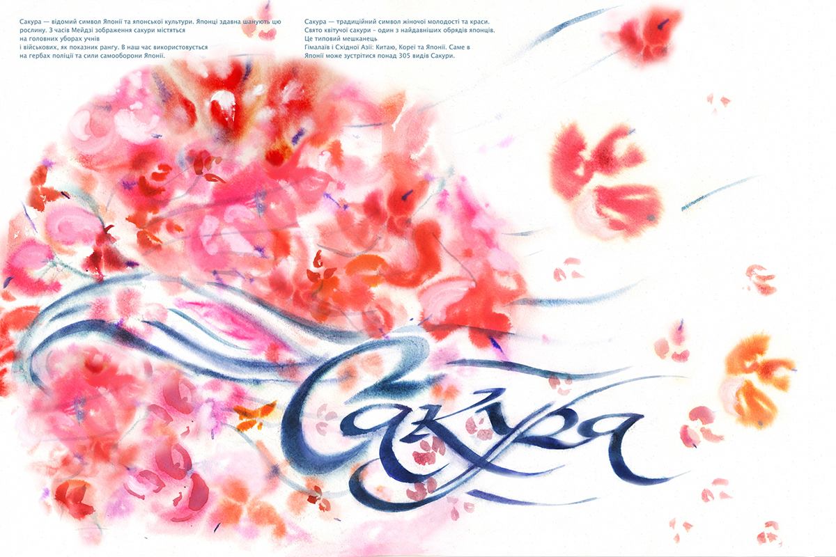 calligraphy posters  poster sakura akvarel watercolor typography poster Japanese Culture