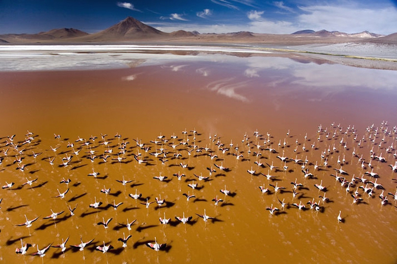 Laguna Colorada