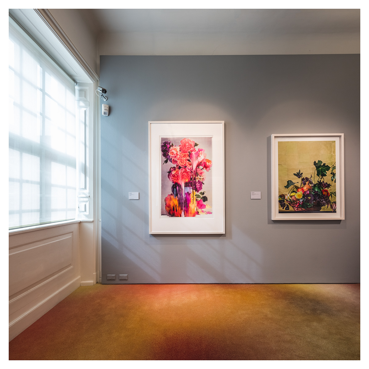 colour danish design museum pastel vogue Adobe Portfolio