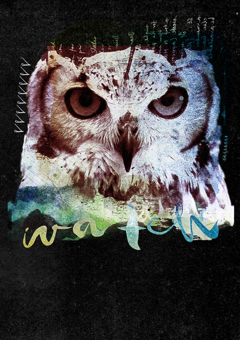 artworks watercolor animals inspiration owl bear monkey Digital Collage illustrations