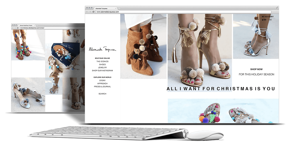 Ecommerce Fashion  shoes Web Design  web development  Website wordpress
