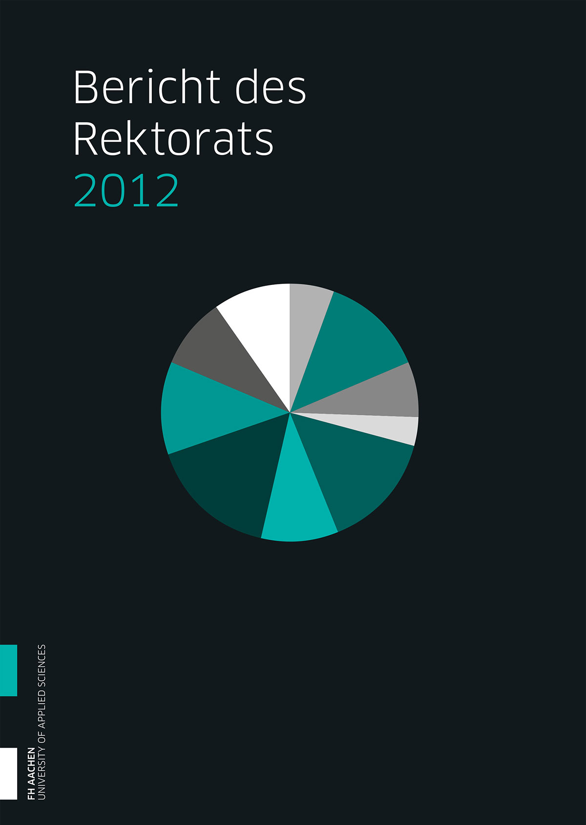 annual report infographics information design data visualization