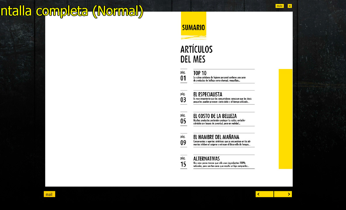 amarillo negro editorial magazine online digital catalog design Flash Layout