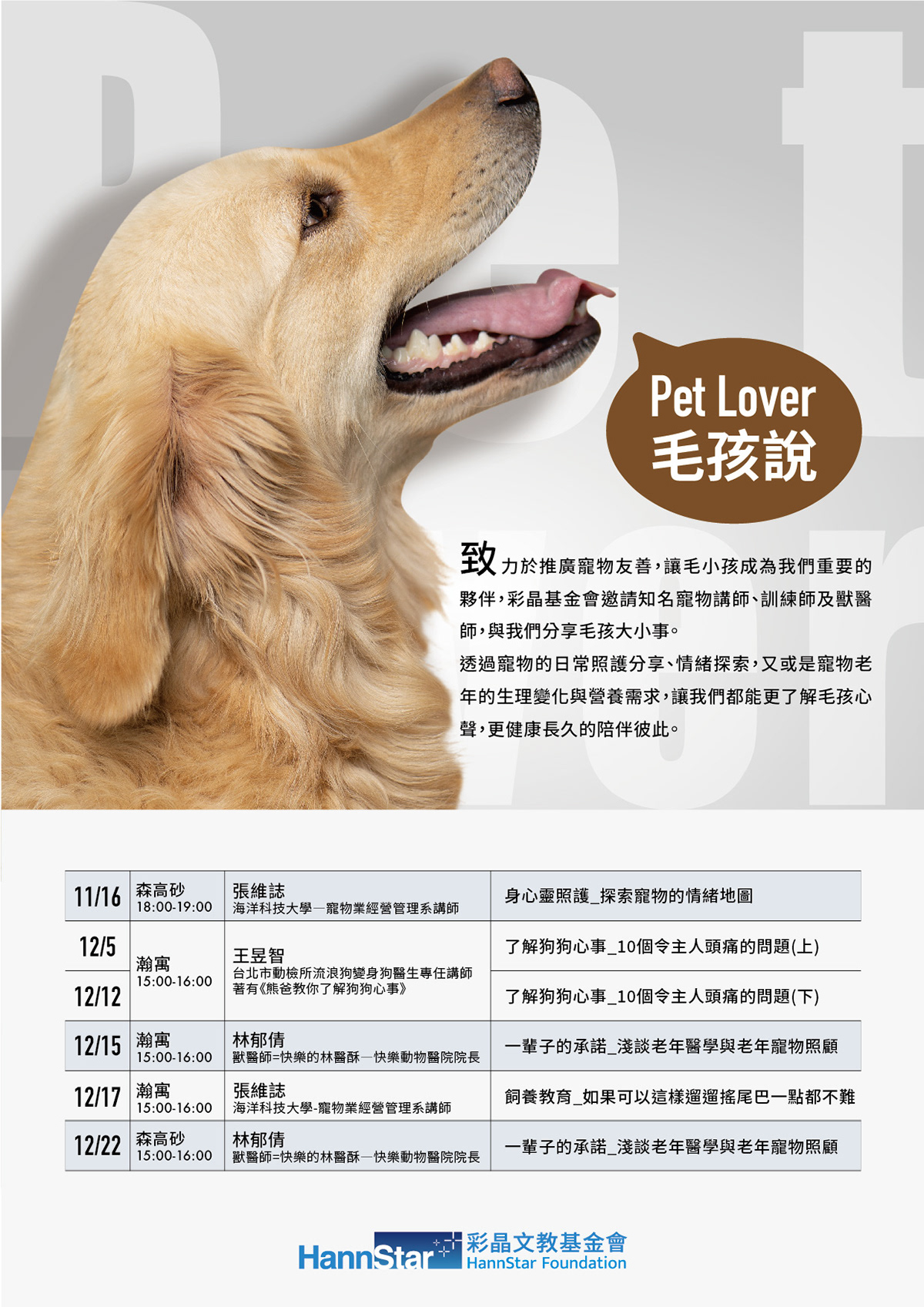 DM dog Pet 平面設計 排版 提案 海報 視覺設計 設計