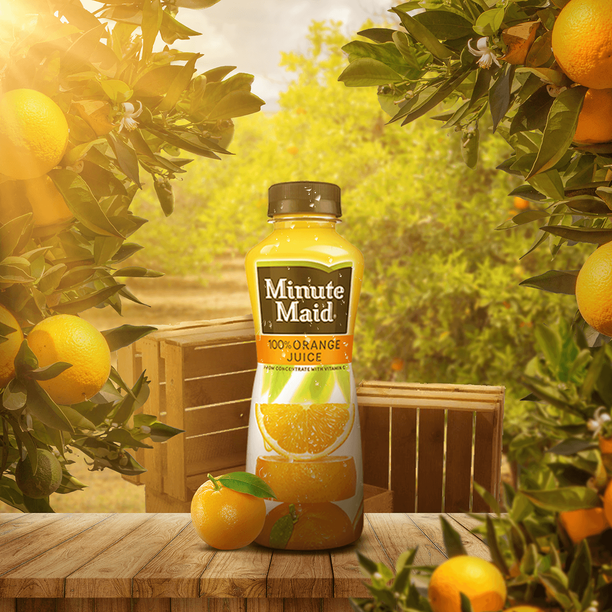 Social media post Graphic Designer Product Manipulation ads marketing   Socialmedia fresh juice minute maid orange