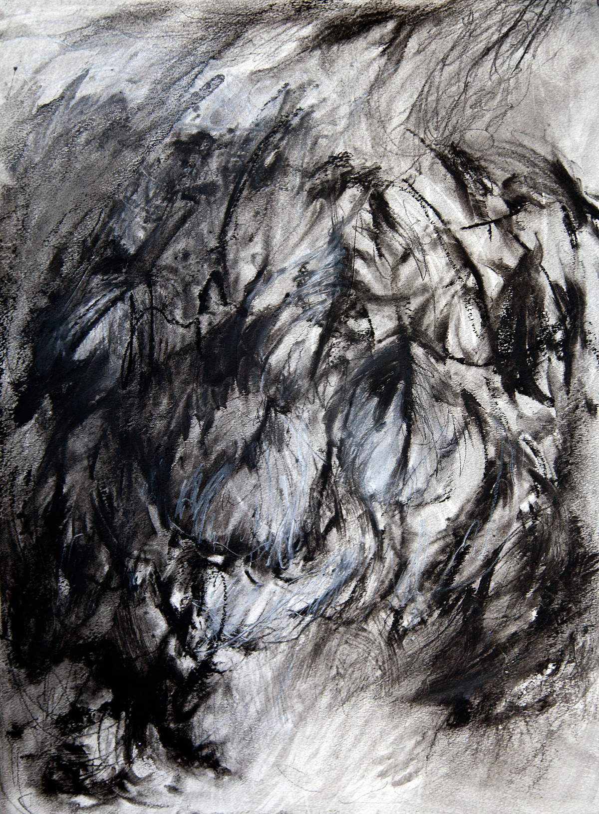 feathers bird black and white marks charcoal ink
