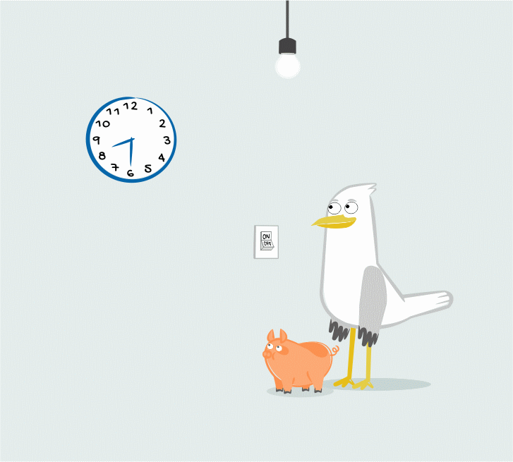 animation  bird characters Fun sketch toon