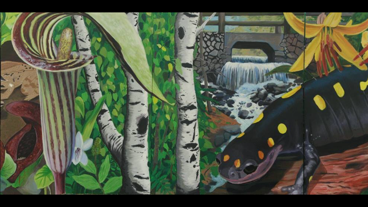 Mural painting   Street Art  acrylic river Nature wildlife animals trees Fine Arts 