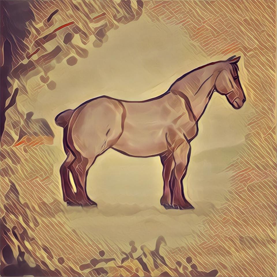 horses sketches horse