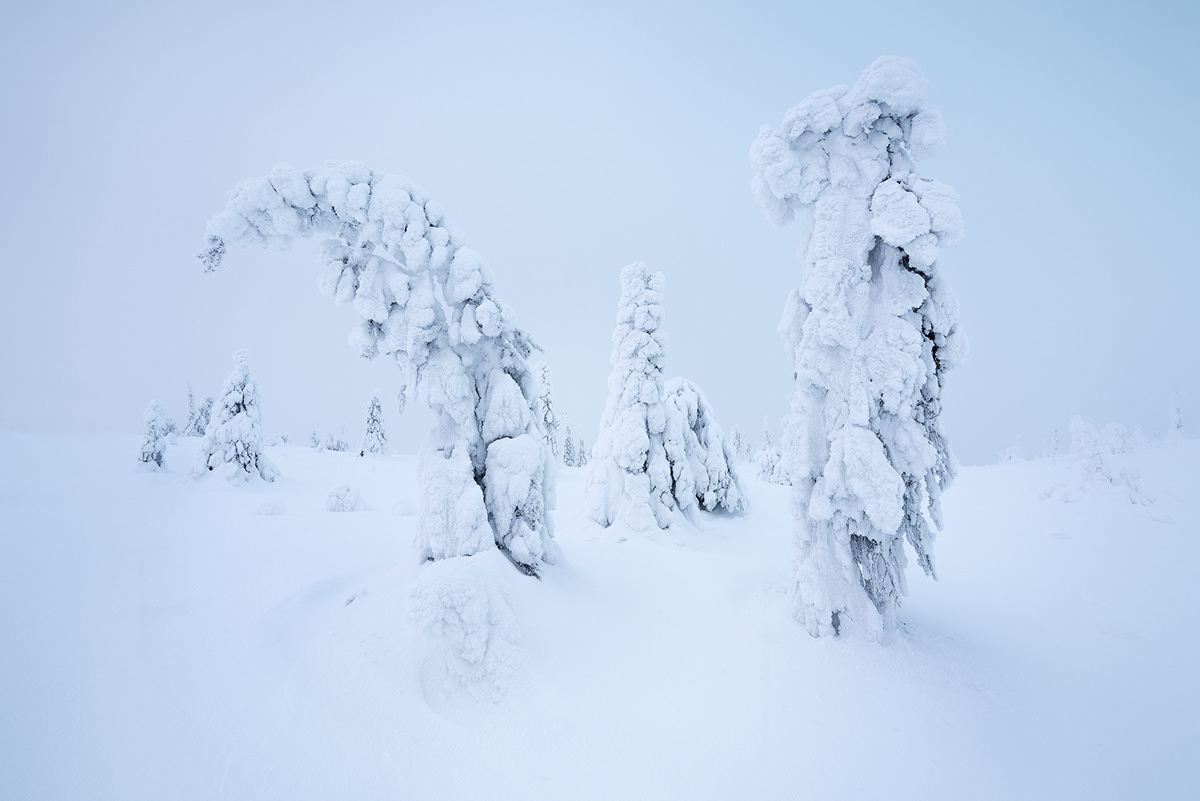 finland landscape photography nature photography Lapland Photography  Nature outdoors adobe lightroom Adobe Photoshop winter