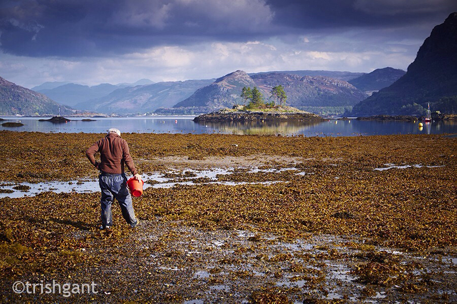 scotland lomond Plockton Skye landscapes environment tourism weather climate Travelling caravan tent camping hiking walking holidays vacations UK gb Photography  wilderness