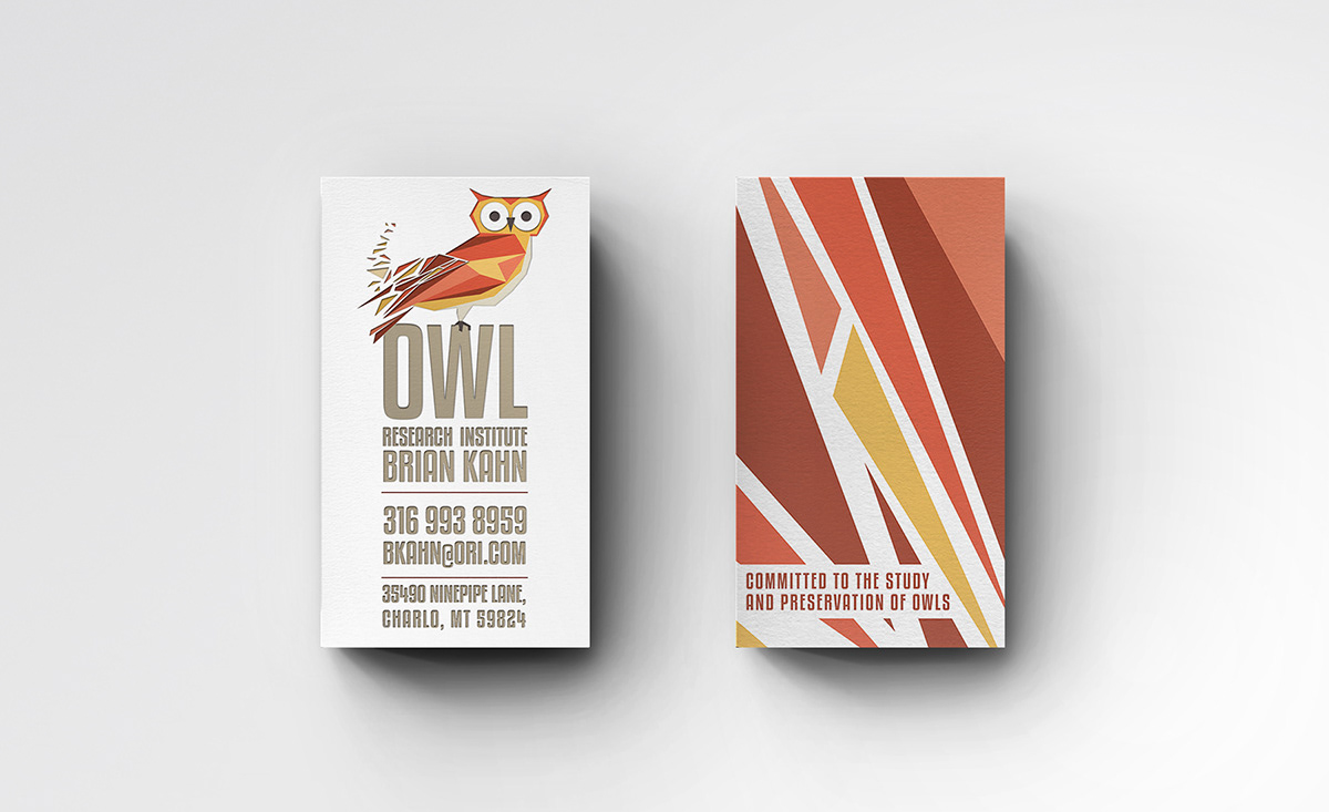 identity brand logo owl research geometric institute