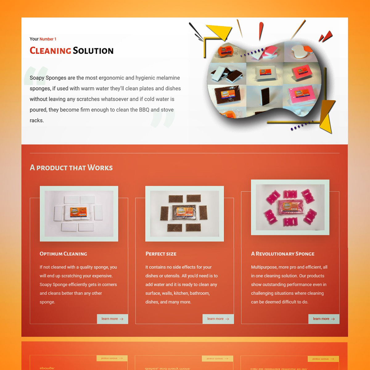 graphic design  SEO Web Design  web development  Website website development wordpress