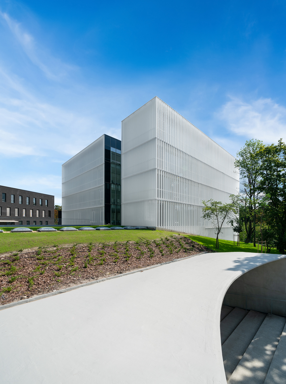 architecture building mome campus Photography  modern minimal