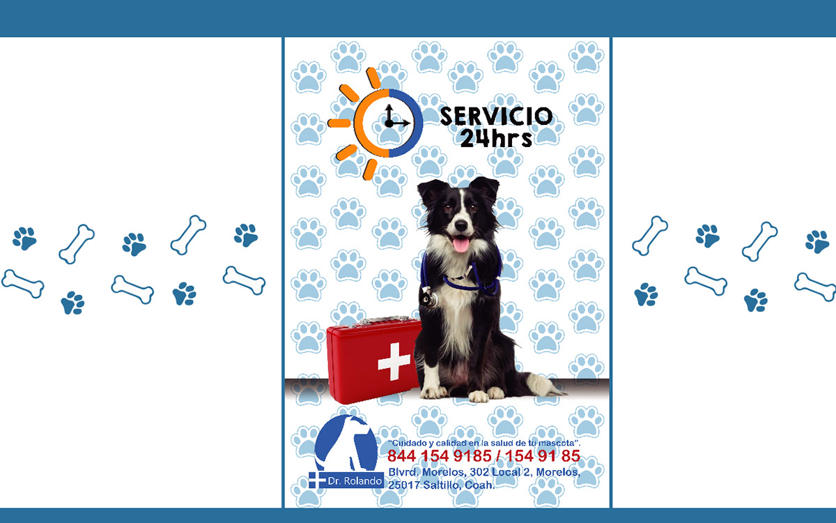 vet pets veterinário animals care cartel ilustracion dog