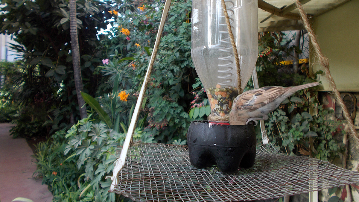 DIY upcycling Coke bottle bird feeder