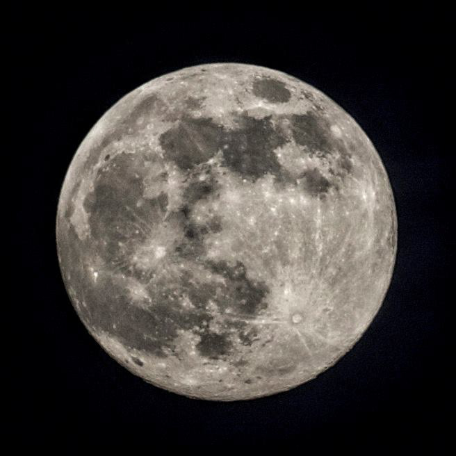Nikon  Nikon D7100  moon  supermoon  photos