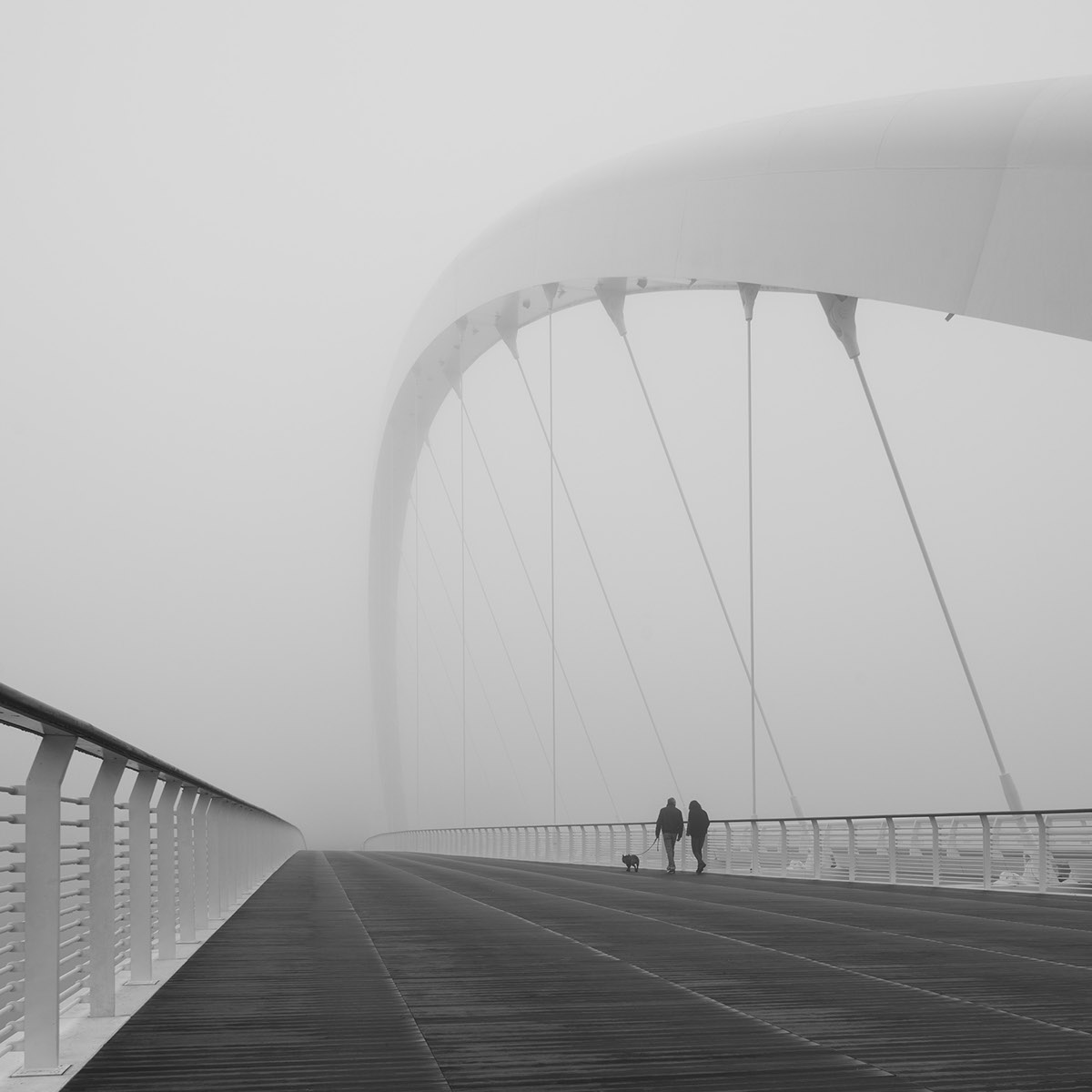 ponte meier Richard Meier architecture bridge alessandria minimal structure