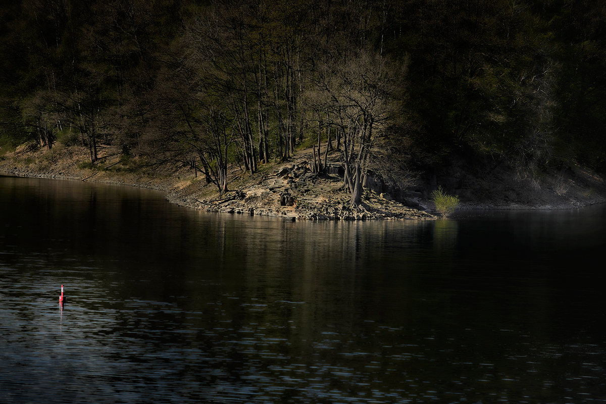 Landscape river Danube donau Riverside water Bayern Bavaria Nature trees dog dark light jörg marx