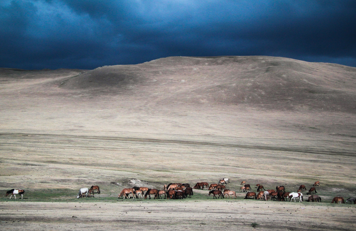 mongolia asia roadside inhospitable Landscape Travel mongol steppe horse
