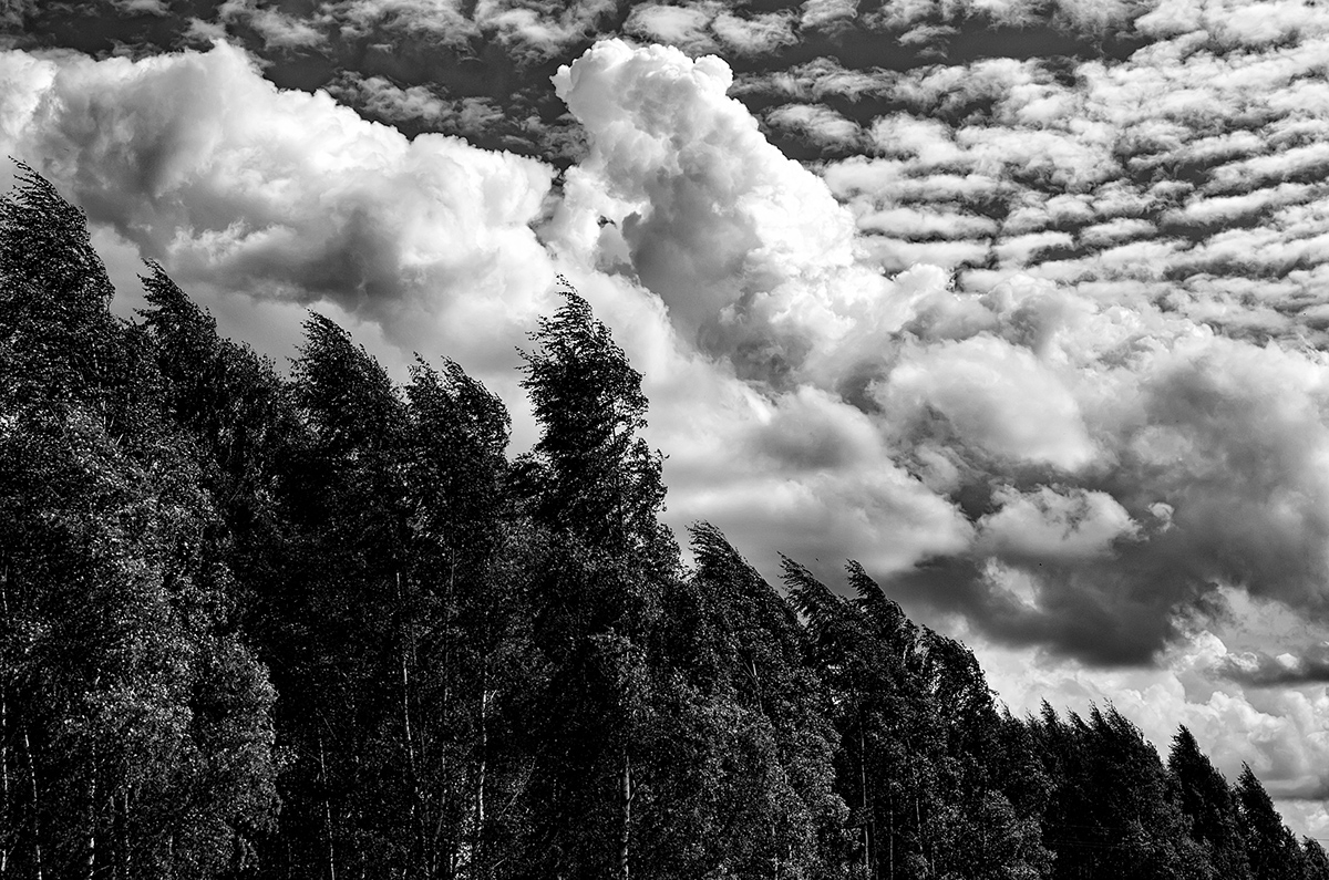 Adobe Portfolio SKY b&w clouds