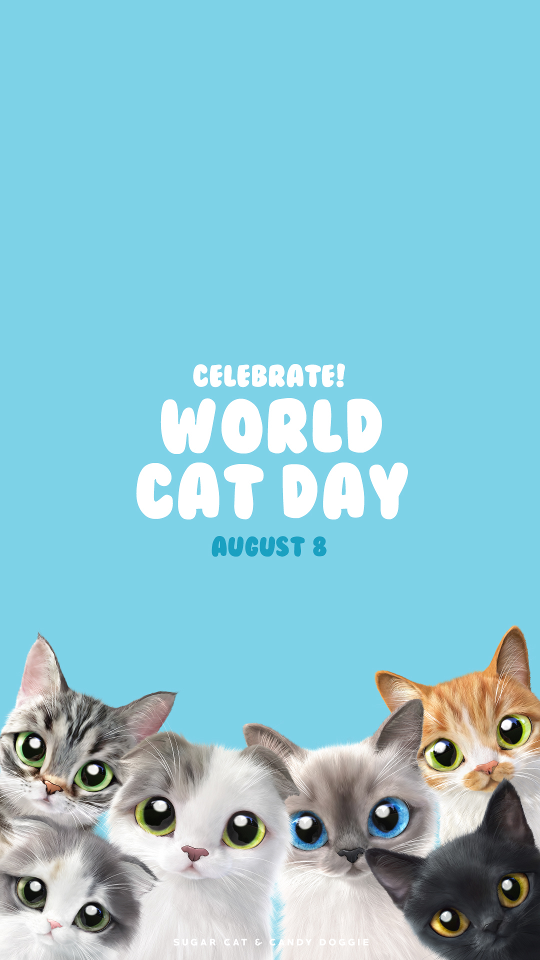 Cat SugarCat world cat day