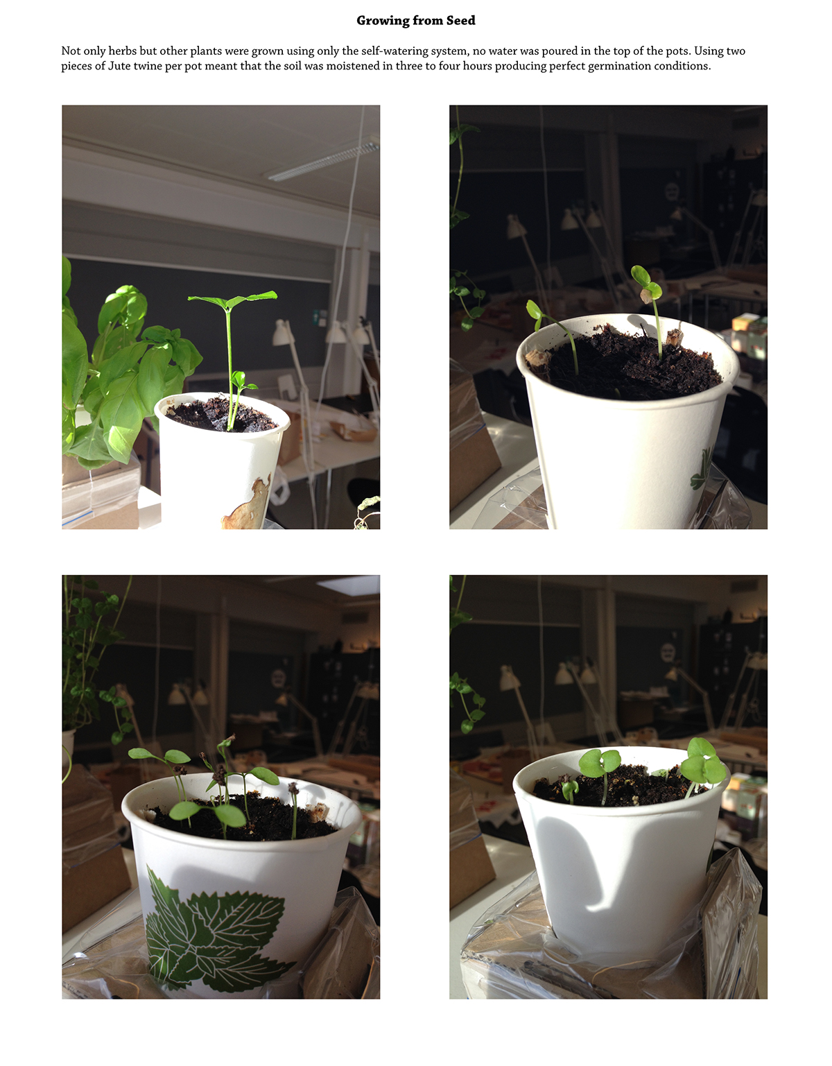 starpack Starpack 2015 herbs grow kit tetra pak Tetra rex Health self-watering