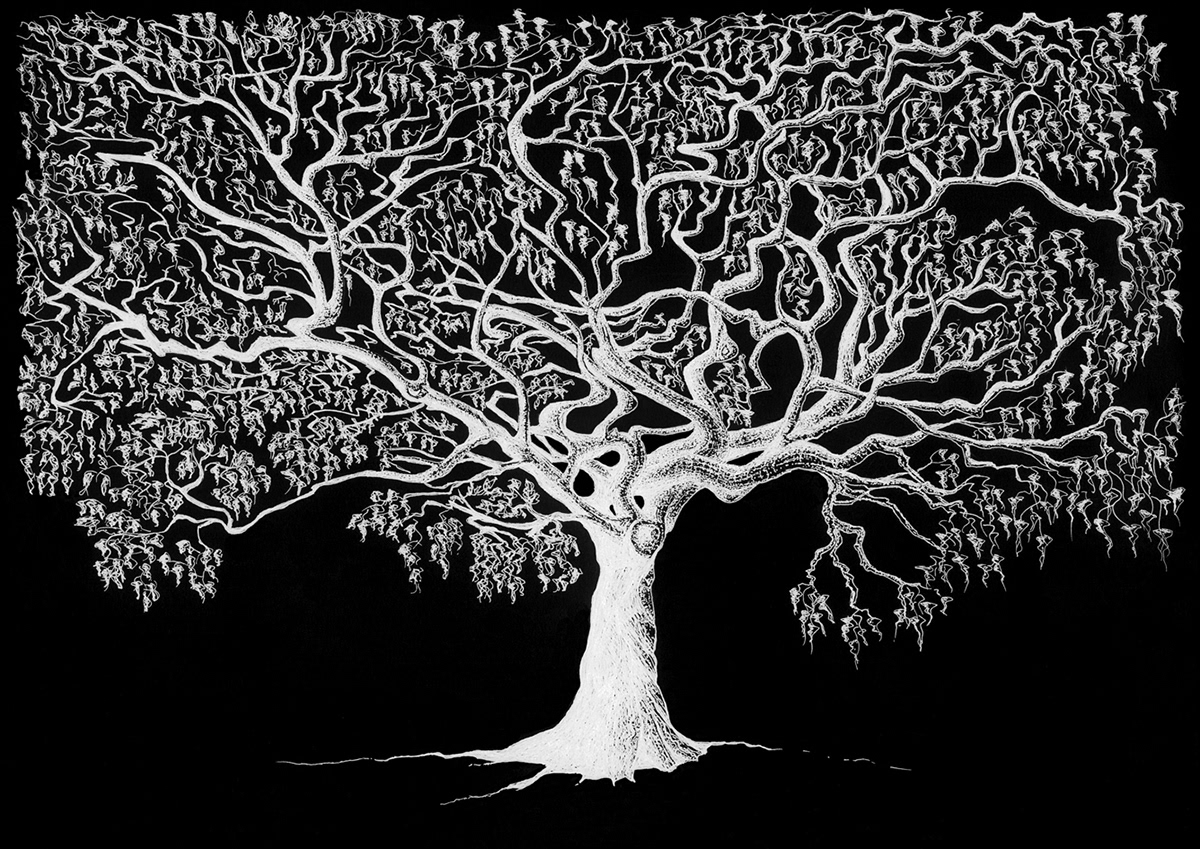 Tree  fantasy fantastical Nature natural science