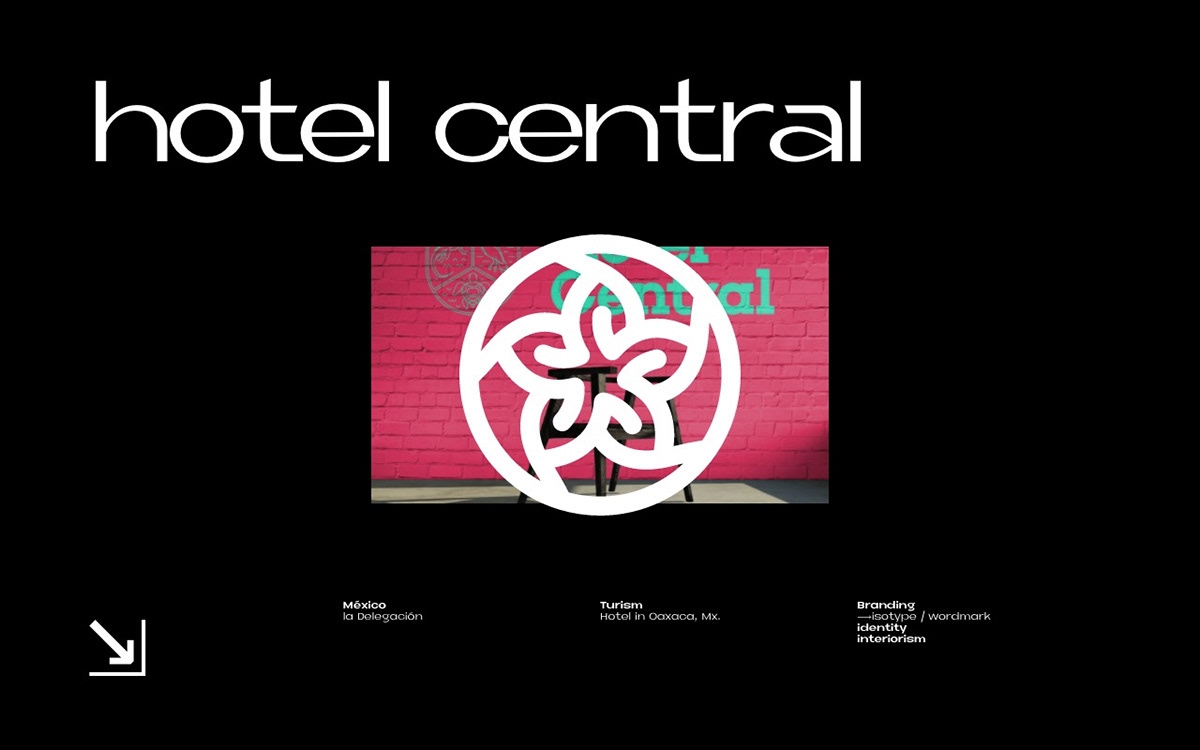 branding  identity Stationery interiorism ILLUSTRATION  animation  hotel mexico Nature animals