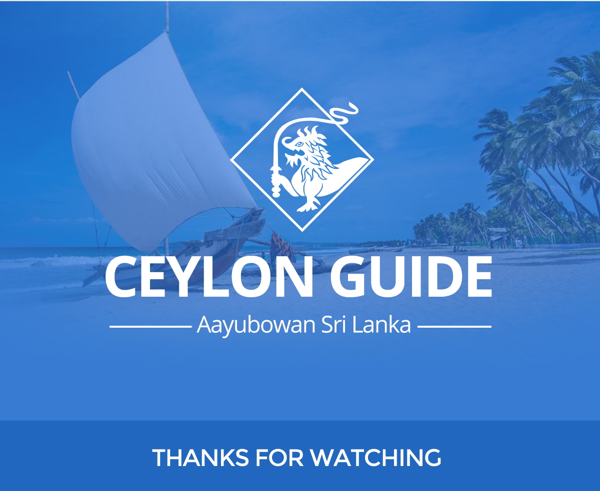 Ceylon Sri lanka Travel Guide travel guide