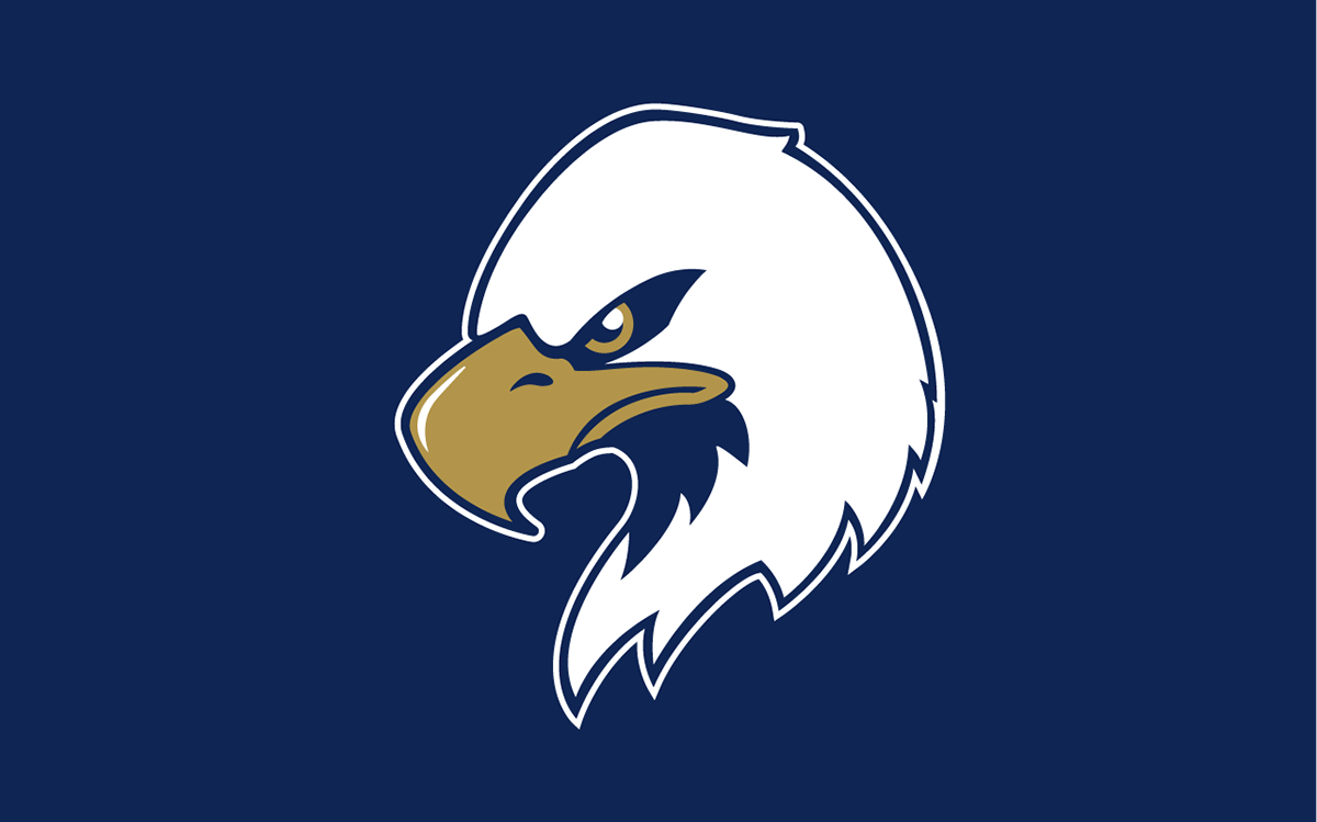branding  college sports eagle logos eagles elgin il football michael figueroa sport logos sports art Sports Branding
