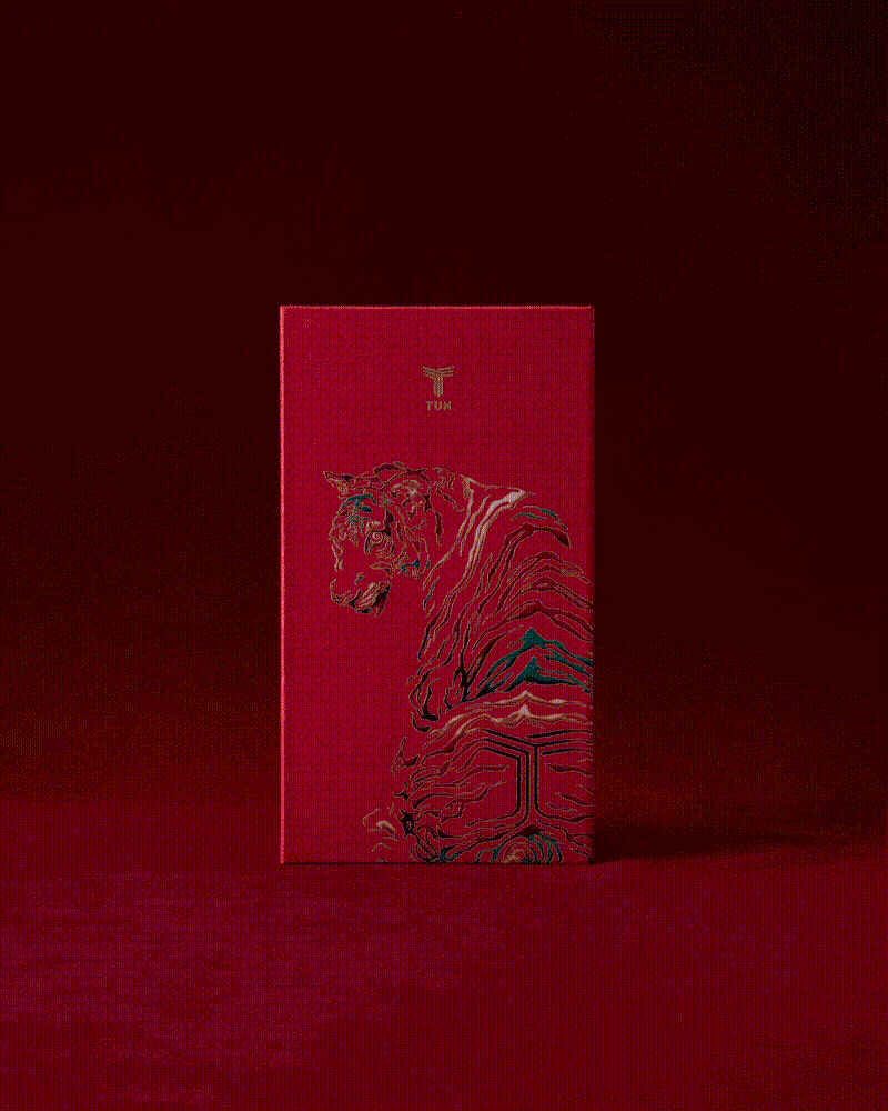 chinese new year cny gift box ILLUSTRATION  Lunar New Year newyear package design  Red envelope design tiger 新年