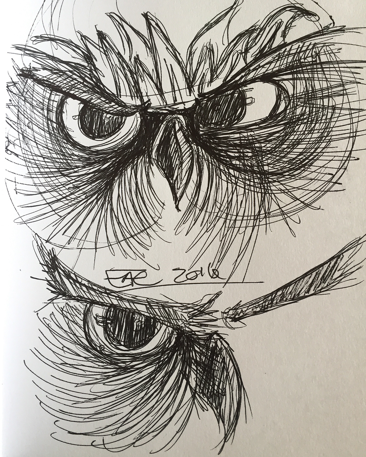 doodles sketch ink zebra brush Cartoons