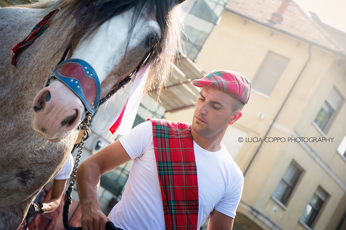 photo Photography  animal horse Event festival Italy horses photos rider
