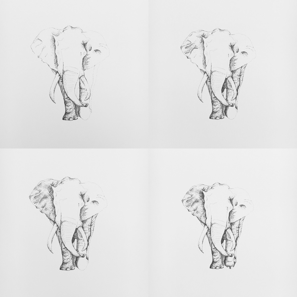 stippled ILLUSTRATION  Drawing  art stippling dotted Black&white elephant wildlife africa