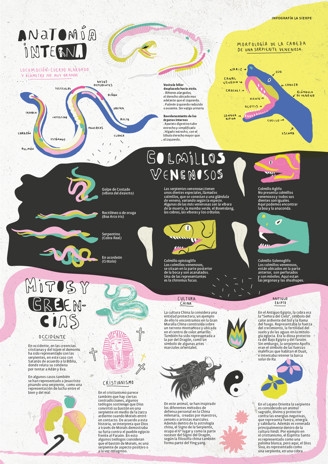 ilustracion diseño gráfico dibujo infografia serpiente morfologia diseño tipografia infograph infography