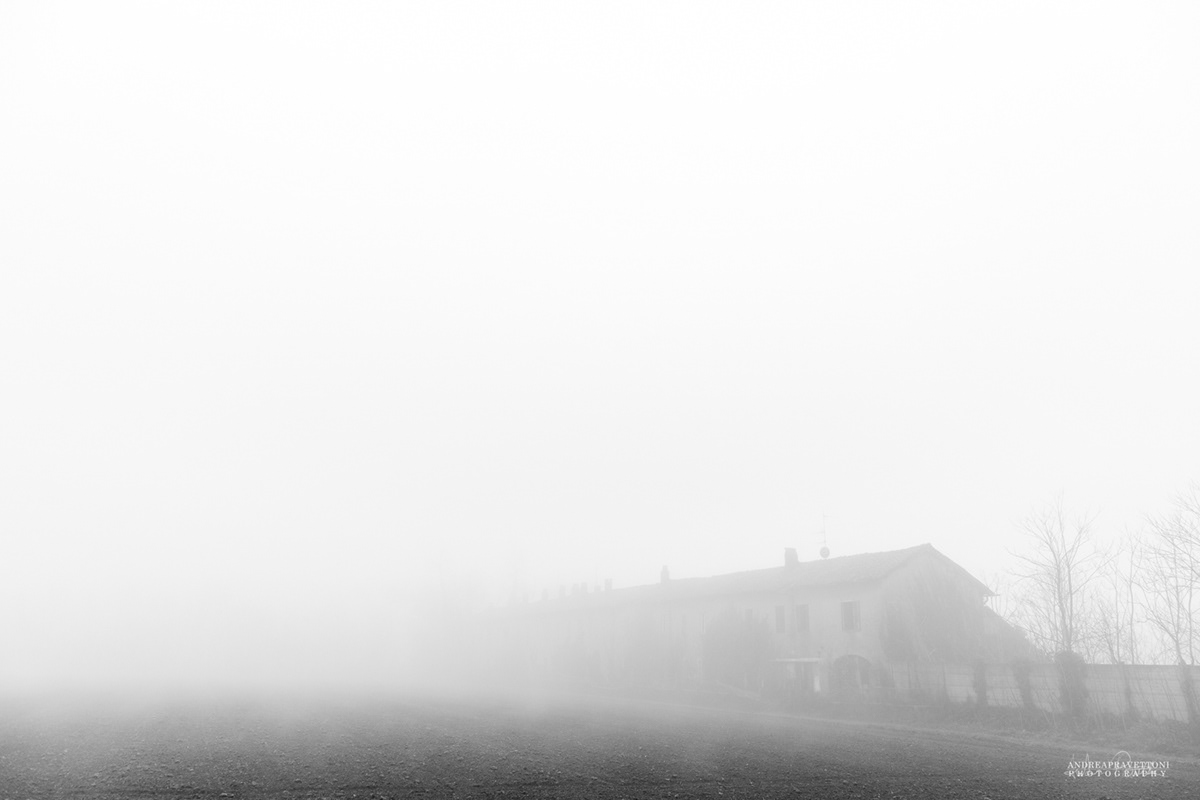 fog milan Countyside vanzago milano Nature natura nebbia scighera black and white